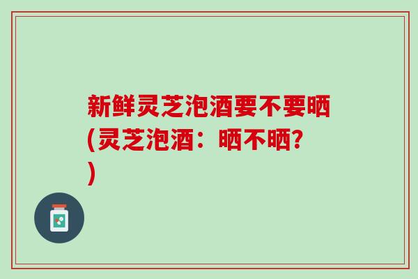 新鲜灵芝泡酒要不要晒(灵芝泡酒：晒不晒？)