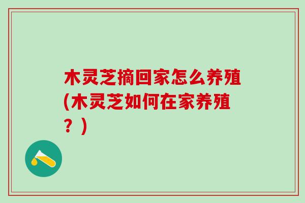 木灵芝摘回家怎么养殖(木灵芝如何在家养殖？)