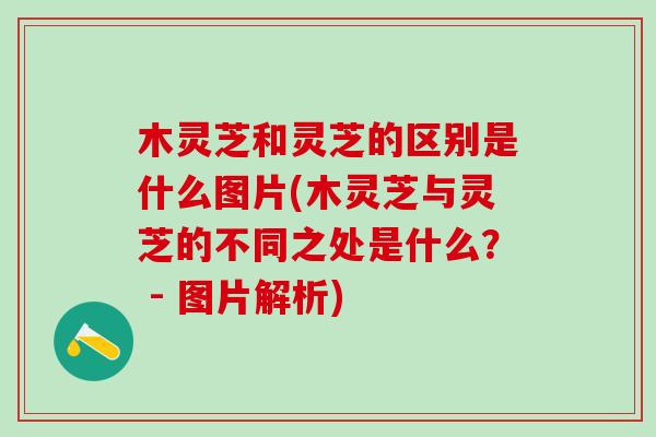 木灵芝和灵芝的区别是什么图片(木灵芝与灵芝的不同之处是什么？ - 图片解析)