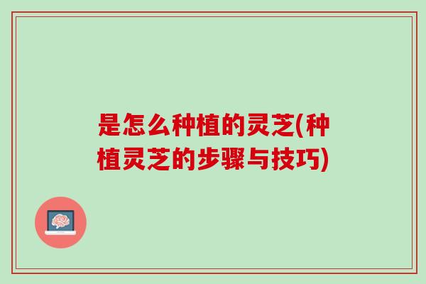 是怎么种植的灵芝(种植灵芝的步骤与技巧)