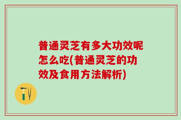 普通灵芝有多大功效呢怎么吃(普通灵芝的功效及食用方法解析)