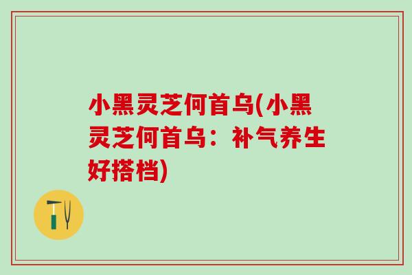 小黑灵芝何首乌(小黑灵芝何首乌:养生好搭档) 小黑灵芝何首乌(小黑灵芝何首乌:养生好搭档)