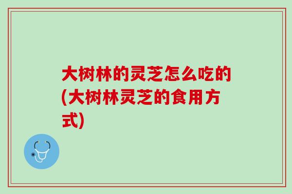 大树林的灵芝怎么吃的(大树林灵芝的食用方式)