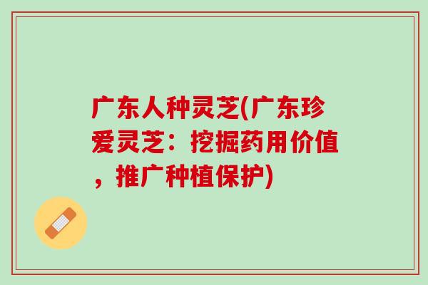 广东人种灵芝(广东珍爱灵芝:挖掘药用价值,推广种植保护) 广东人种灵芝(广东珍爱灵芝:挖掘药用价值,推广种植保护)