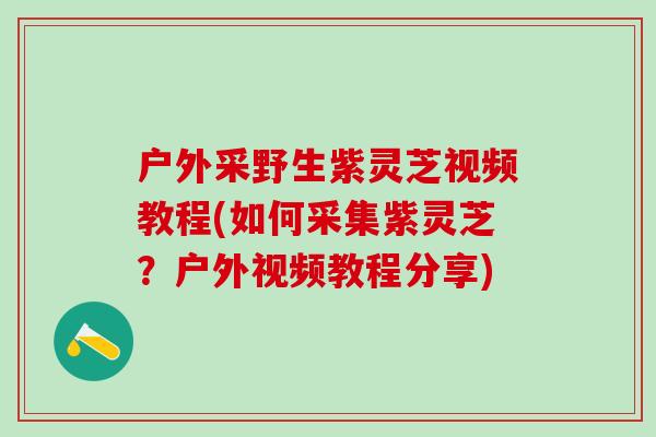 户外采野生紫灵芝视频教程(如何采集紫灵芝?户外视频教程分享) 户外采野生紫灵芝视频教程(如何采集紫灵芝?户外视频教程分享)