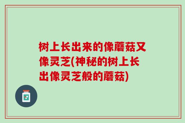 树上长出来的像蘑菇又像灵芝(神秘的树上长出像灵芝般的蘑菇)