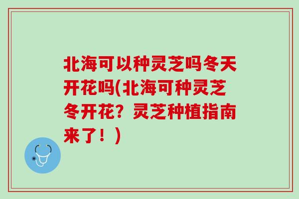 北海可以种灵芝吗冬天开花吗(北海可种灵芝冬开花？灵芝种植指南来了！)