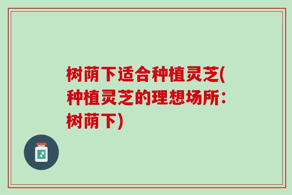 树荫下适合种植灵芝(种植灵芝的理想场所：树荫下)