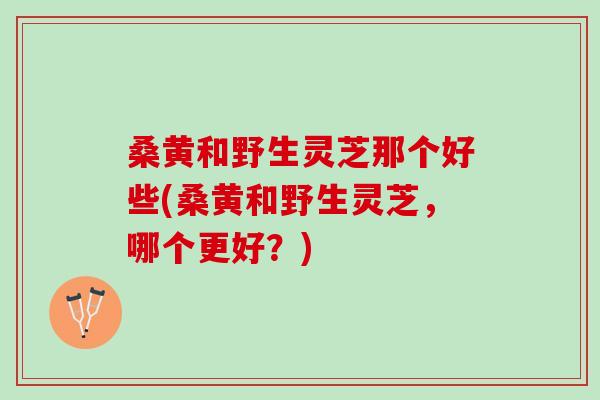 桑黄和野生灵芝那个好些(桑黄和野生灵芝，哪个更好？)