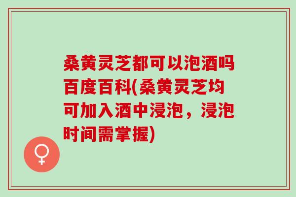 桑黄灵芝都可以泡酒吗百度百科(桑黄灵芝均可加入酒中浸泡,浸泡时间需掌握) 桑黄灵芝都可以泡酒吗百度百科(桑黄灵芝均可加入酒中浸泡,浸泡时间需掌握)