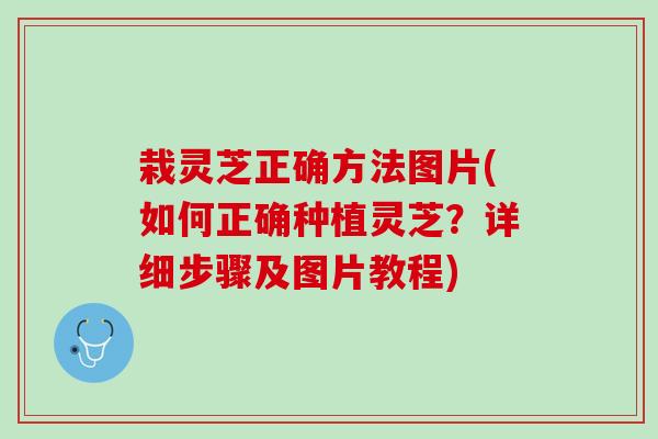 栽灵芝正确方法图片(如何正确种植灵芝?详细步骤及图片教程) 栽灵芝正确方法图片(如何正确种植灵芝?详细步骤及图片教程)