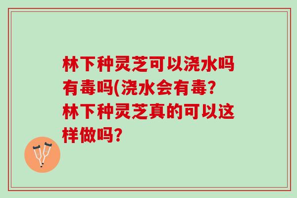 林下种灵芝可以浇水吗有毒吗(浇水会有毒?林下种灵芝真的可以这样做吗? 林下种灵芝可以浇水吗有毒吗(浇水会有毒?林下种灵芝真的可以这样做吗?