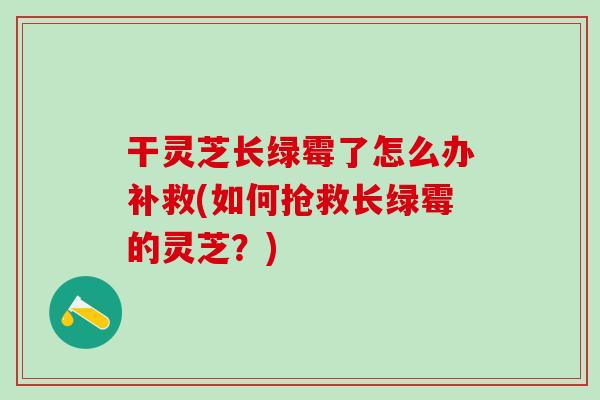 干灵芝长绿霉了怎么办补救(如何抢救长绿霉的灵芝?) 干灵芝长绿霉了怎么办补救(如何抢救长绿霉的灵芝?)
