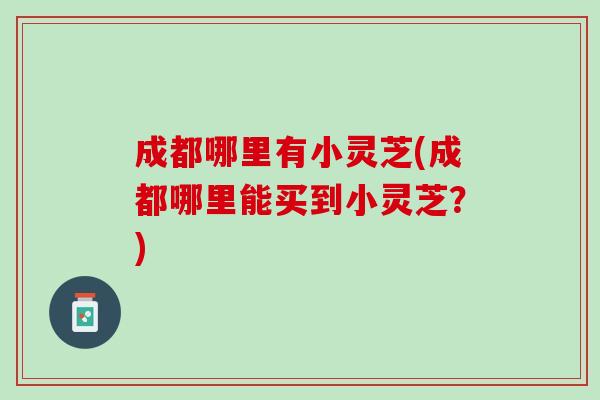 成都哪里有小灵芝(成都哪里能买到小灵芝？)