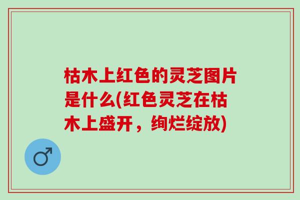 枯木上红色的灵芝图片是什么(红色灵芝在枯木上盛开，绚烂绽放)