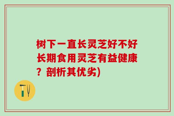 树下一直长灵芝好不好长期食用灵芝有益健康？剖析其优劣)