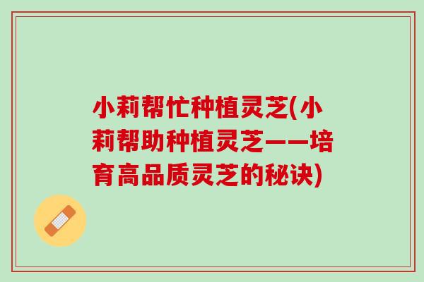 小莉帮忙种植灵芝(小莉帮助种植灵芝——培育高品质灵芝的秘诀)