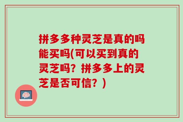拼多多种灵芝是真的吗能买吗(可以买到真的灵芝吗？拼多多上的灵芝是否可信？)