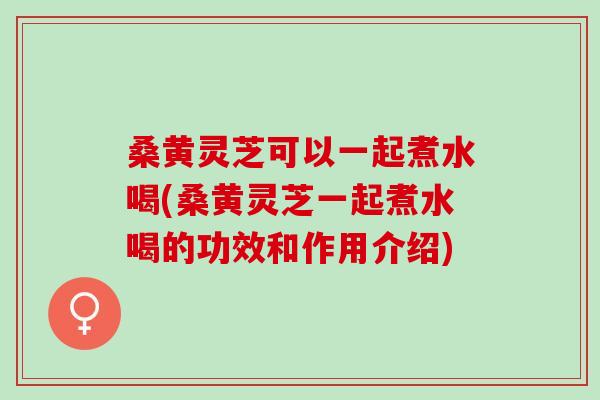 桑黄灵芝可以一起煮水喝(桑黄灵芝一起煮水喝的功效和作用介绍)