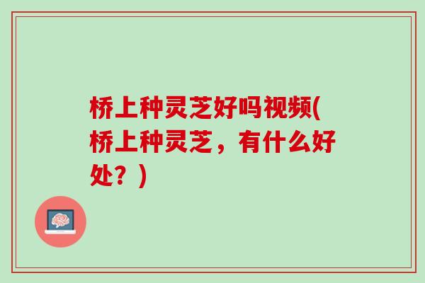 桥上种灵芝好吗视频(桥上种灵芝，有什么好处？)
