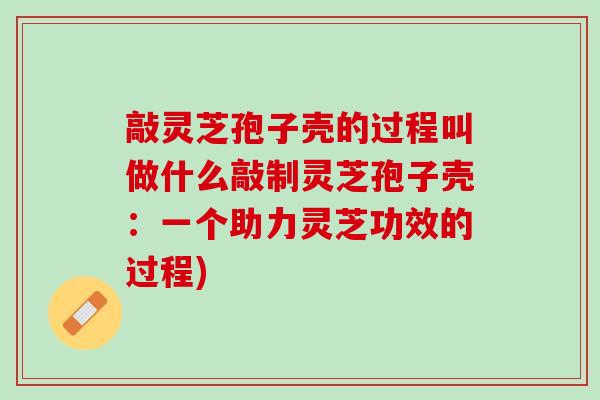 敲灵芝孢子壳的过程叫做什么敲制灵芝孢子壳:一个助力灵芝功效的过程) 敲灵芝孢子壳的过程叫做什么敲制灵芝孢子壳:一个助力灵芝功效的过程)