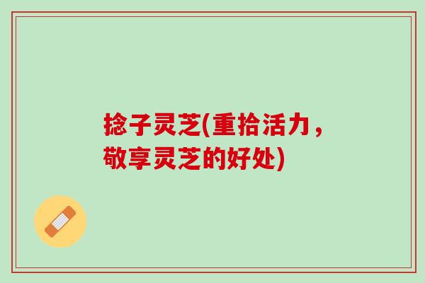捻子灵芝(重拾活力,敬享灵芝的好处) 捻子灵芝(重拾活力,敬享灵芝的好处)