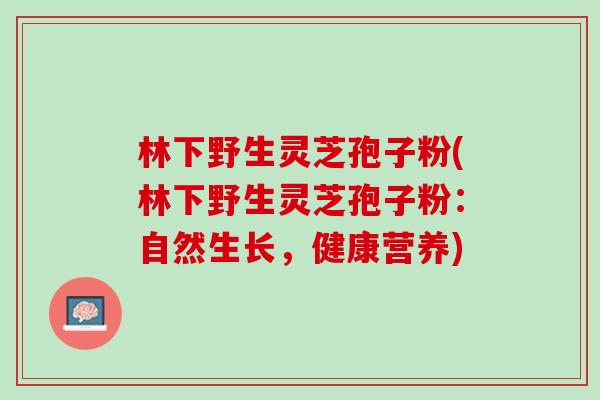 林下野生灵芝孢子粉(林下野生灵芝孢子粉：自然生长，健康营养)