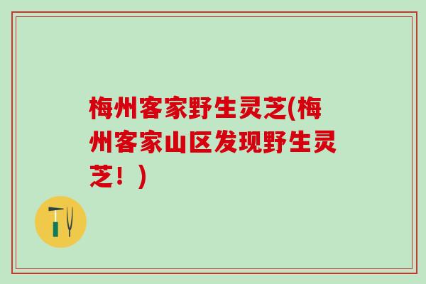 梅州客家野生灵芝(梅州客家山区发现野生灵芝！)