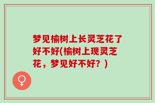 梦见榆树上长灵芝花了好不好(榆树上现灵芝花，梦见好不好？)