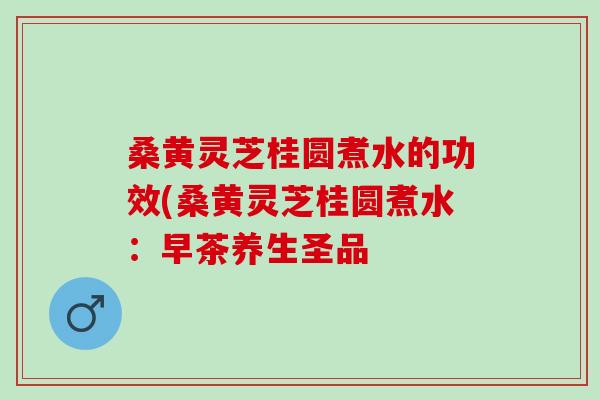 桑黄灵芝桂圆煮水的功效(桑黄灵芝桂圆煮水：早茶养生圣品