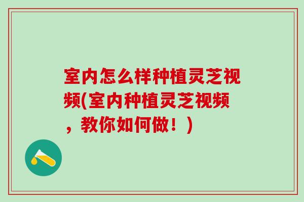 室内怎么样种植灵芝视频(室内种植灵芝视频，教你如何做！)