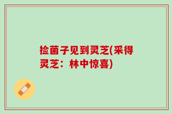 捡菌子见到灵芝(采得灵芝：林中惊喜)