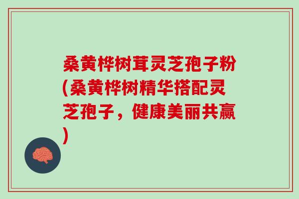 桑黄桦树茸灵芝孢子粉(桑黄桦树精华搭配灵芝孢子，健康美丽共赢)