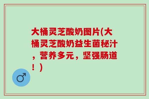 大桶灵芝酸奶图片(大桶灵芝酸奶益生菌秘汁，营养多元，坚强肠道！)