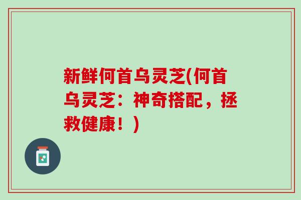 新鲜何首乌灵芝(何首乌灵芝：神奇搭配，拯救健康！)