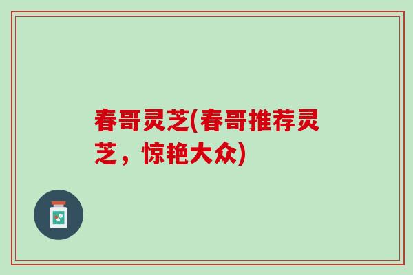 春哥灵芝(春哥推荐灵芝,惊艳大众) 春哥灵芝(春哥推荐灵芝,惊艳大众)
