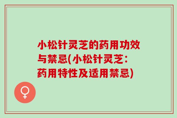 小松针灵芝的药用功效与禁忌(小松针灵芝：药用特性及适用禁忌)