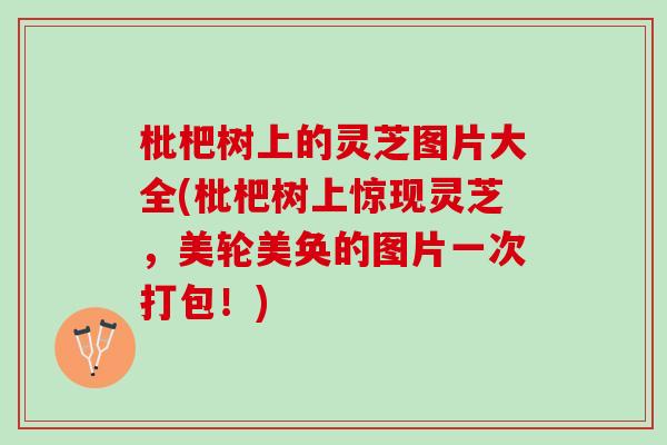 枇杷树上的灵芝图片大全(枇杷树上惊现灵芝，美轮美奂的图片一次打包！)