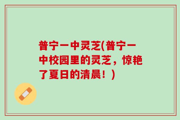 普宁一中灵芝(普宁一中校园里的灵芝，惊艳了夏日的清晨！)