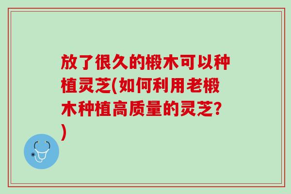 放了很久的椴木可以种植灵芝(如何利用老椴木种植高质量的灵芝？)
