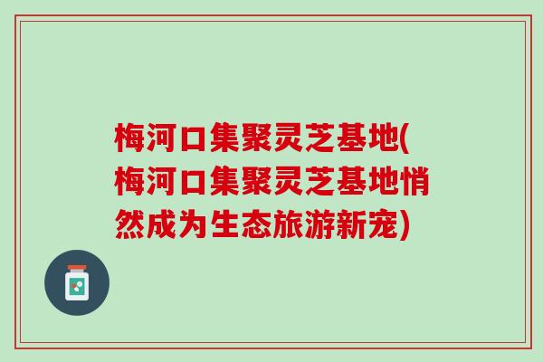 梅河口集聚灵芝基地(梅河口集聚灵芝基地悄然成为生态旅游新宠)