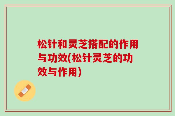 松针和灵芝搭配的作用与功效(松针灵芝的功效与作用)