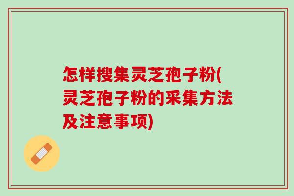 怎样搜集灵芝孢子粉(灵芝孢子粉的采集方法及注意事项)