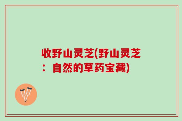 收野山灵芝(野山灵芝：自然的草药宝藏)