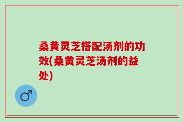 桑黄灵芝搭配汤剂的功效(桑黄灵芝汤剂的益处)
