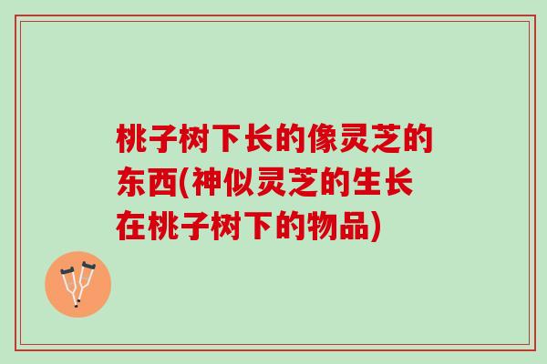 桃子树下长的像灵芝的东西(神似灵芝的生长在桃子树下的物品)