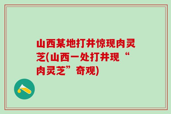 山西某地打井惊现肉灵芝(山西一处打井现“肉灵芝”奇观) 山西某地打井惊现肉灵芝(山西一处打井现“肉灵芝”奇观)