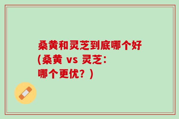 桑黄和灵芝到底哪个好(桑黄 vs 灵芝：哪个更优？)