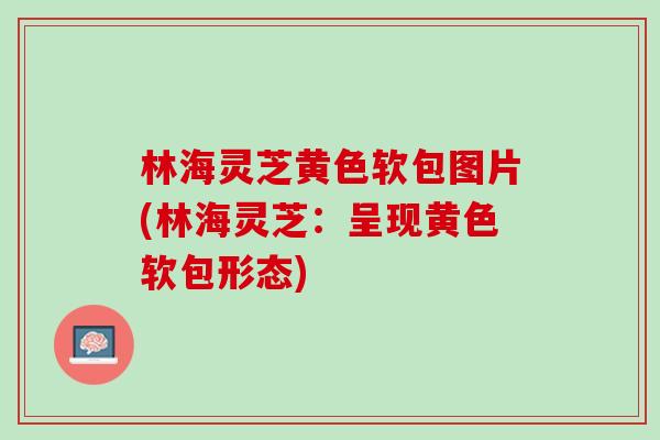 林海灵芝黄色软包图片(林海灵芝：呈现黄色软包形态)