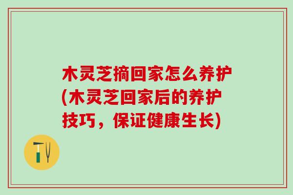 木灵芝摘回家怎么养护(木灵芝回家后的养护技巧,保证健康生长) 木灵芝摘回家怎么养护(木灵芝回家后的养护技巧,保证健康生长)